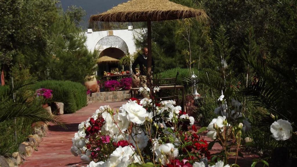 Sel D Ailleurs, Atlas Mountain Retreat - Adults Only ウリガン エクステリア 写真