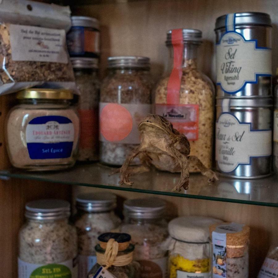 Sel D Ailleurs, Atlas Mountain Retreat - Adults Only ウリガン エクステリア 写真