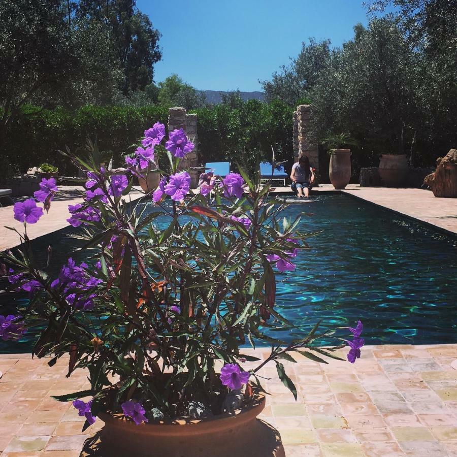 Sel D Ailleurs, Atlas Mountain Retreat - Adults Only ウリガン エクステリア 写真
